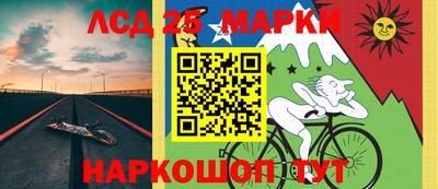 Альфа ПВП Будённовск