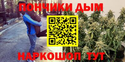 Альфа ПВП Будённовск